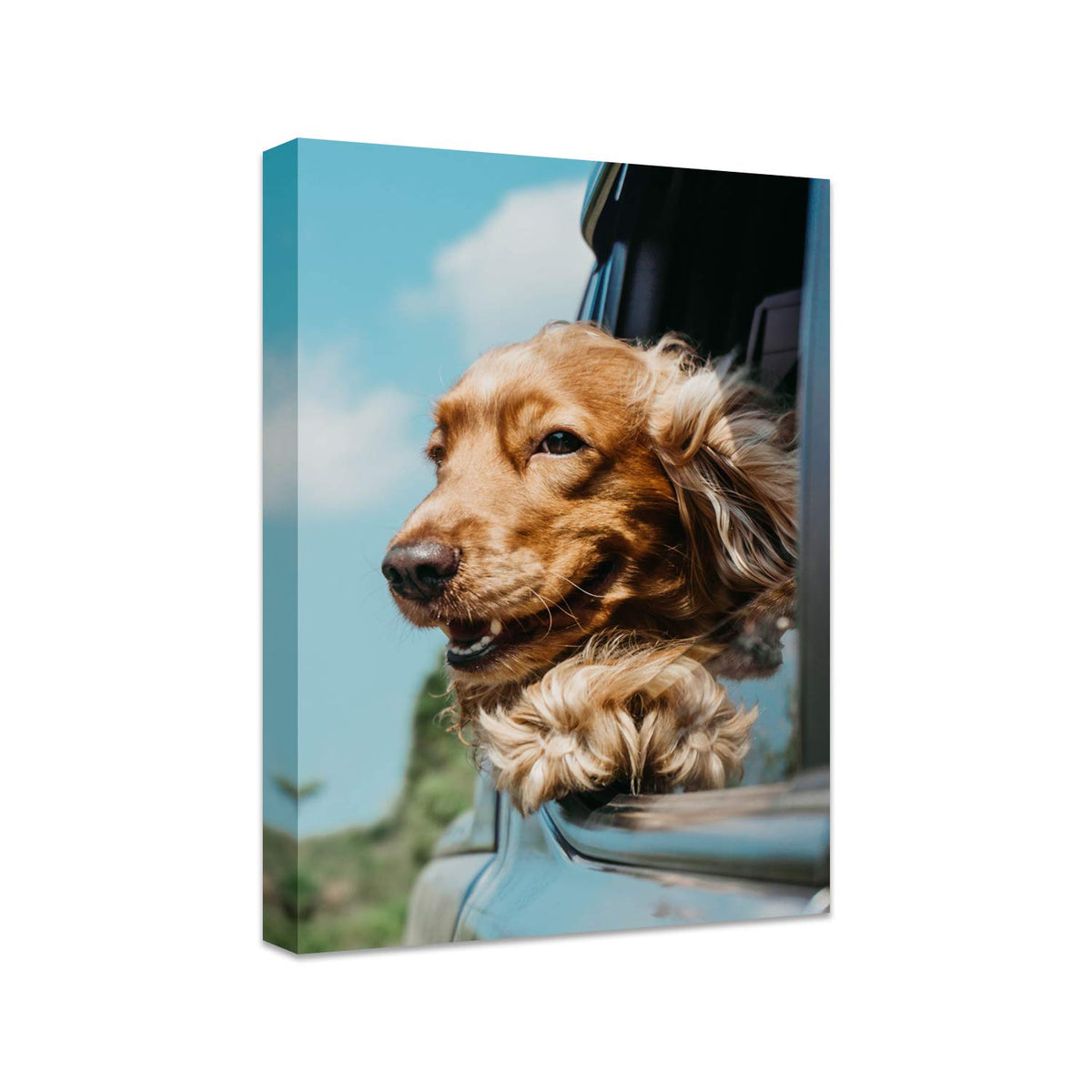Personalized Photo to Canvas Print - Canvas Prints With Your Photos on Custom Wall Art for Bedroom, Living Room, Wedding Baby Pet Family Picture Framed Wall Art (6" W x 8" H)
