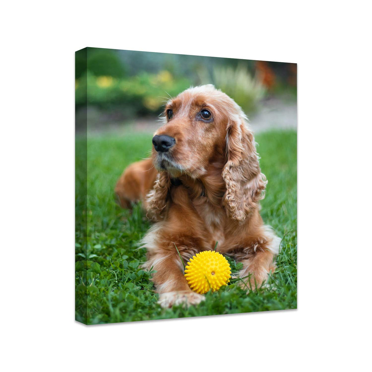 Personalized Photo to Canvas Print - Canvas Prints With Your Photos on Custom Wall Art for Bedroom, Living Room, Wedding Baby Pet Family Picture Framed Wall Art (6" W x 8" H)