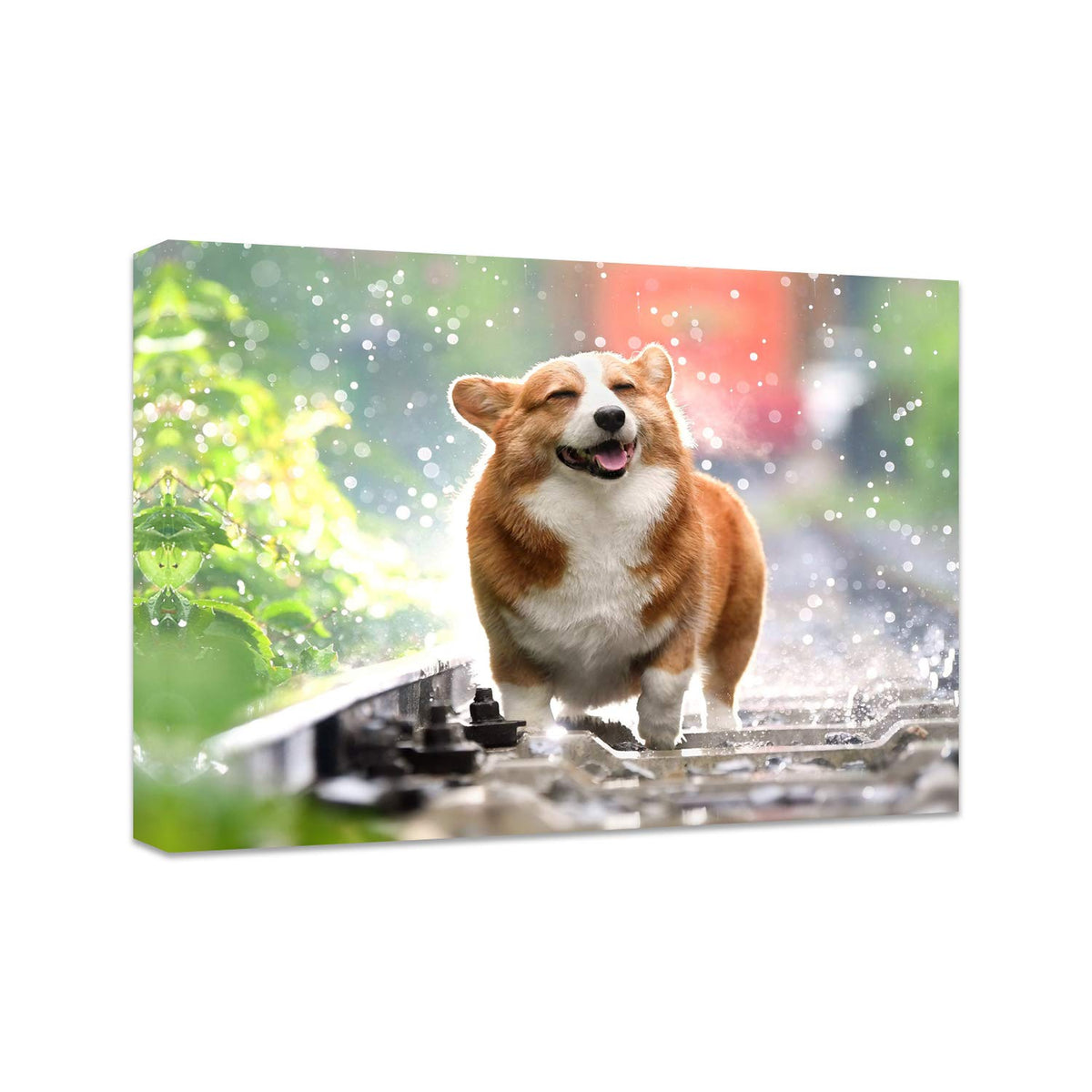 Personalized Photo to Canvas Print - Canvas Prints With Your Photos on Custom Wall Art for Bedroom, Living Room, Wedding Baby Pet Family Picture Framed Wall Art (6" W x 8" H)