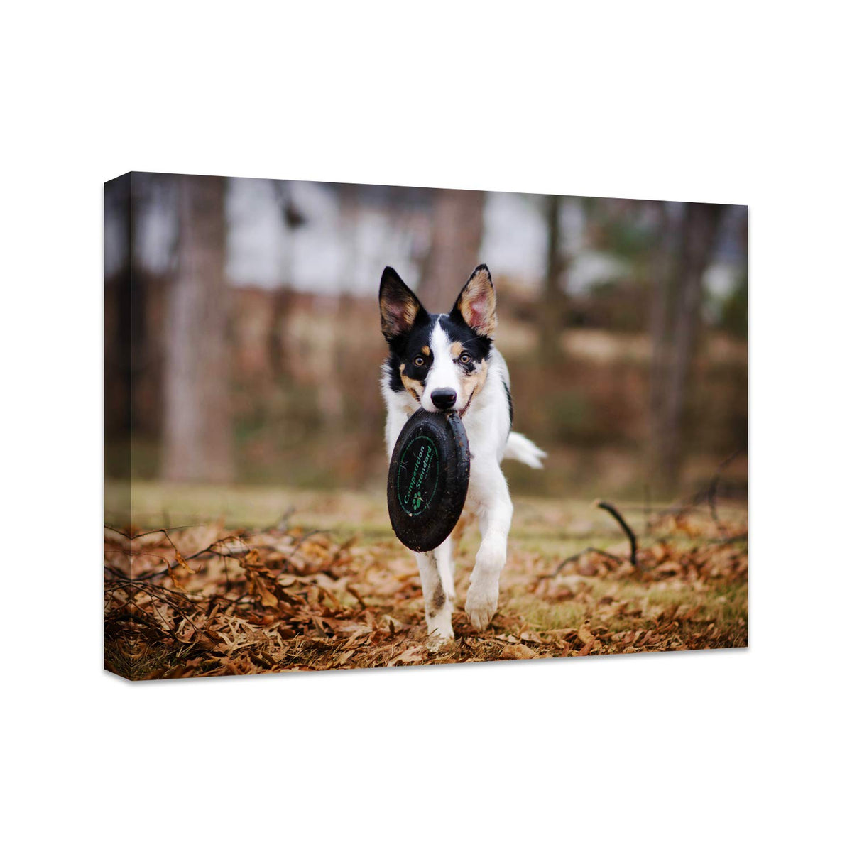 Personalized Photo to Canvas Print - Canvas Prints With Your Photos on Custom Wall Art for Bedroom, Living Room, Wedding Baby Pet Family Picture Framed Wall Art (6" W x 8" H)