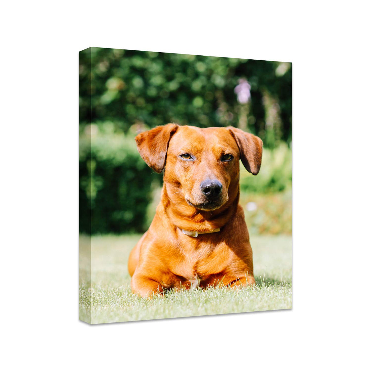 Personalized Photo to Canvas Print - Canvas Prints With Your Photos on Custom Wall Art for Bedroom, Living Room, Wedding Baby Pet Family Picture Framed Wall Art (6" W x 8" H)