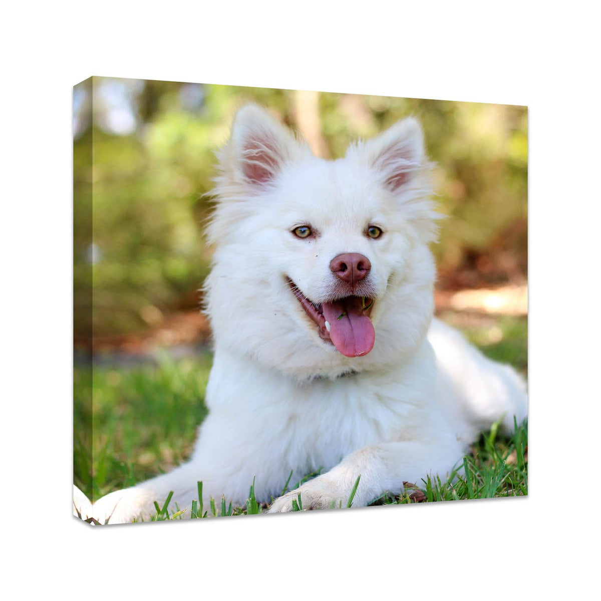 Personalized Photo to Canvas Print - Canvas Prints With Your Photos on Custom Wall Art for Bedroom, Living Room, Wedding Baby Pet Family Picture Framed Wall Art (6" W x 8" H)