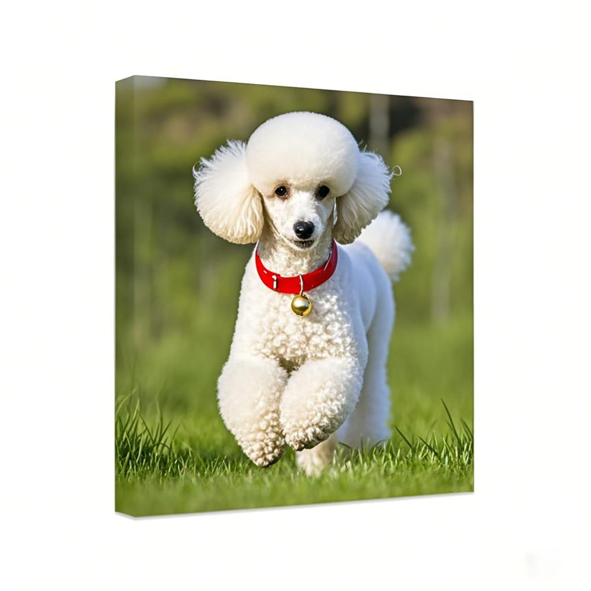 Personalized Photo to Canvas Print - Canvas Prints With Your Photos on Custom Wall Art for Bedroom, Living Room, Wedding Baby Pet Family Picture Framed Wall Art (6" W x 8" H)