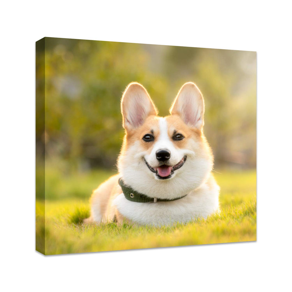 Personalized Photo to Canvas Print - Canvas Prints With Your Photos on Custom Wall Art for Bedroom, Living Room, Wedding Baby Pet Family Picture Framed Wall Art (6" W x 8" H)