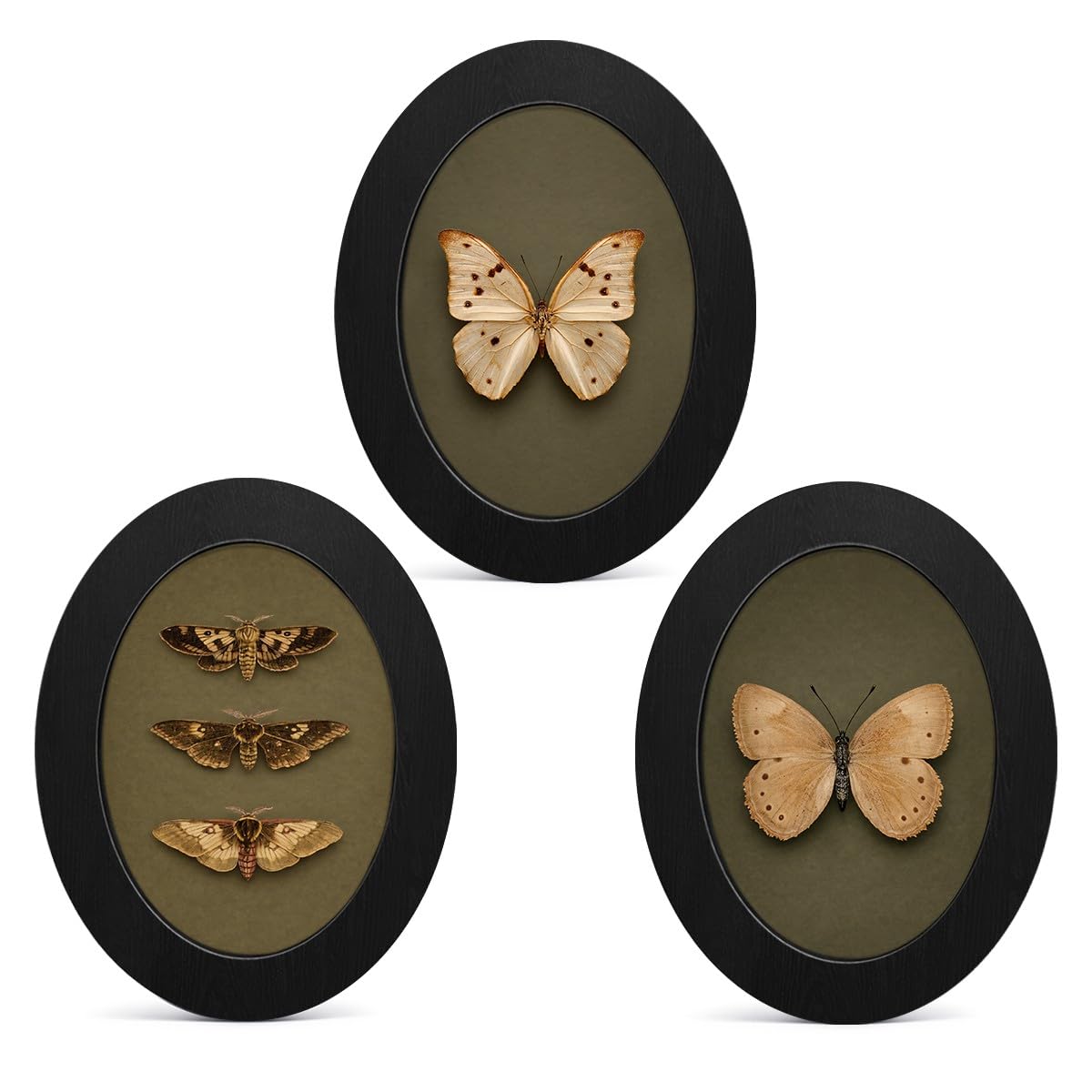 3Pcs Funny Ghost Halloween Bathroom Oval Wall Art Framed Spooky Decor