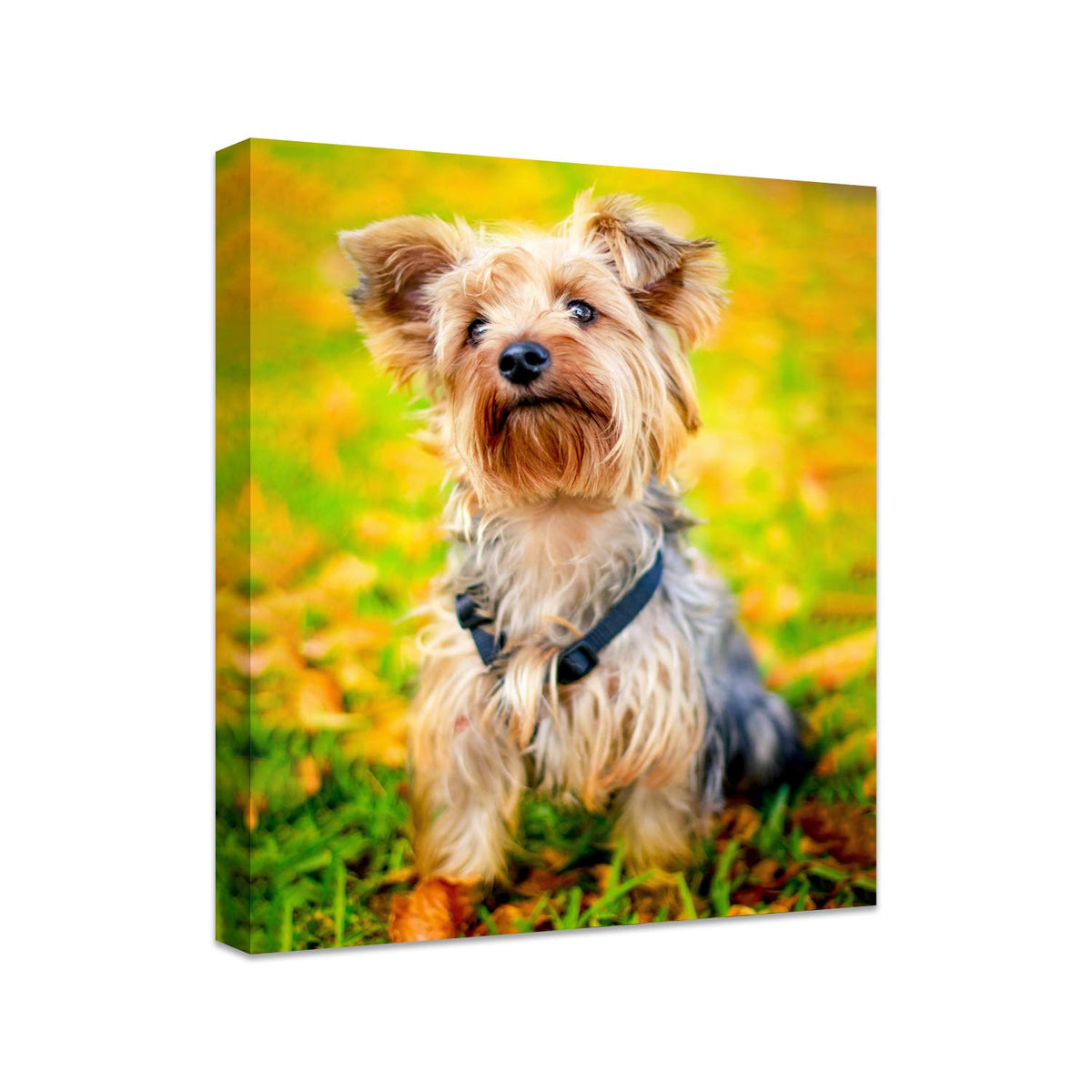 Personalized Photo to Canvas Print - Canvas Prints With Your Photos on Custom Wall Art for Bedroom, Living Room, Wedding Baby Pet Family Picture Framed Wall Art (6" W x 8" H)