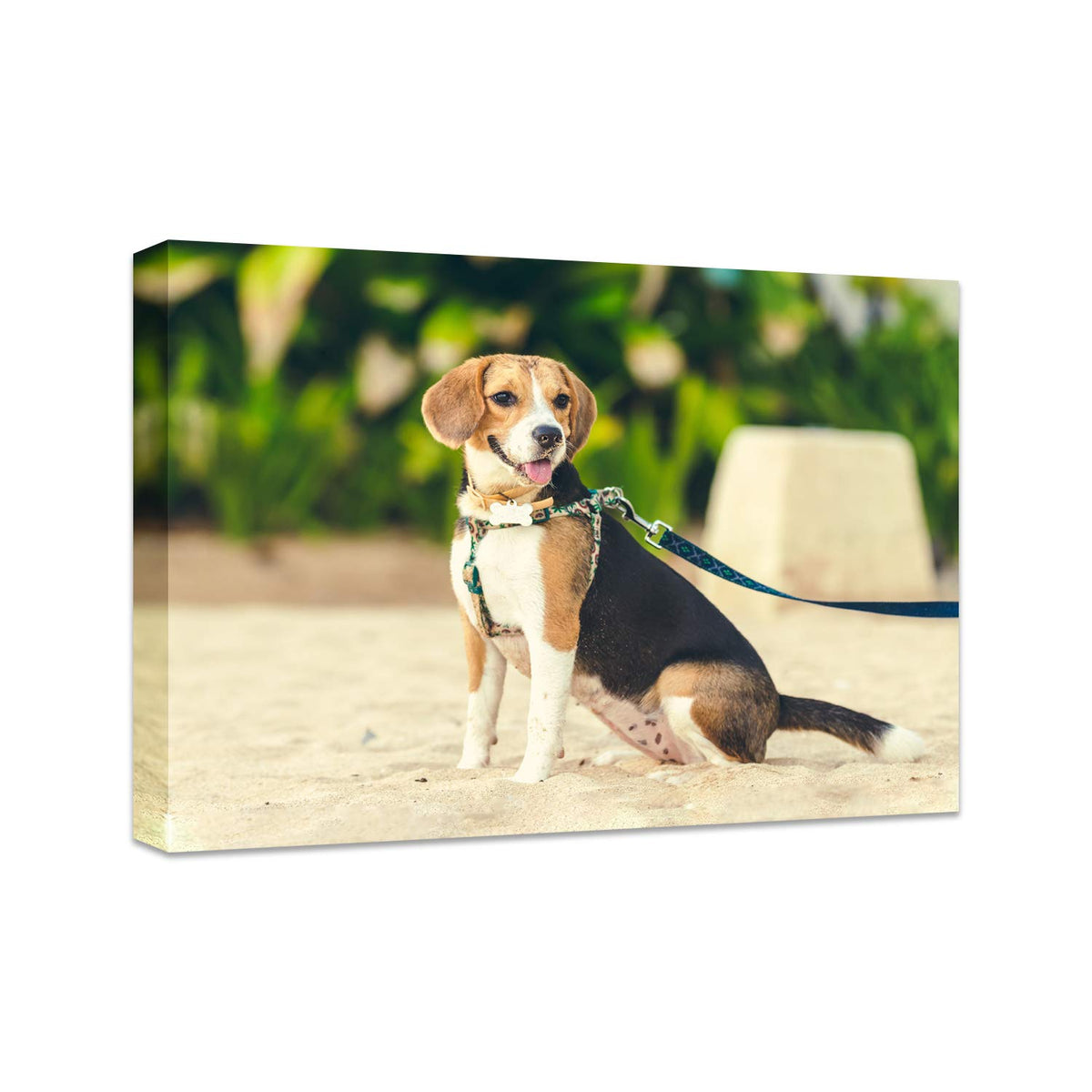 Personalized Photo to Canvas Print - Canvas Prints With Your Photos on Custom Wall Art for Bedroom, Living Room, Wedding Baby Pet Family Picture Framed Wall Art (6" W x 8" H)