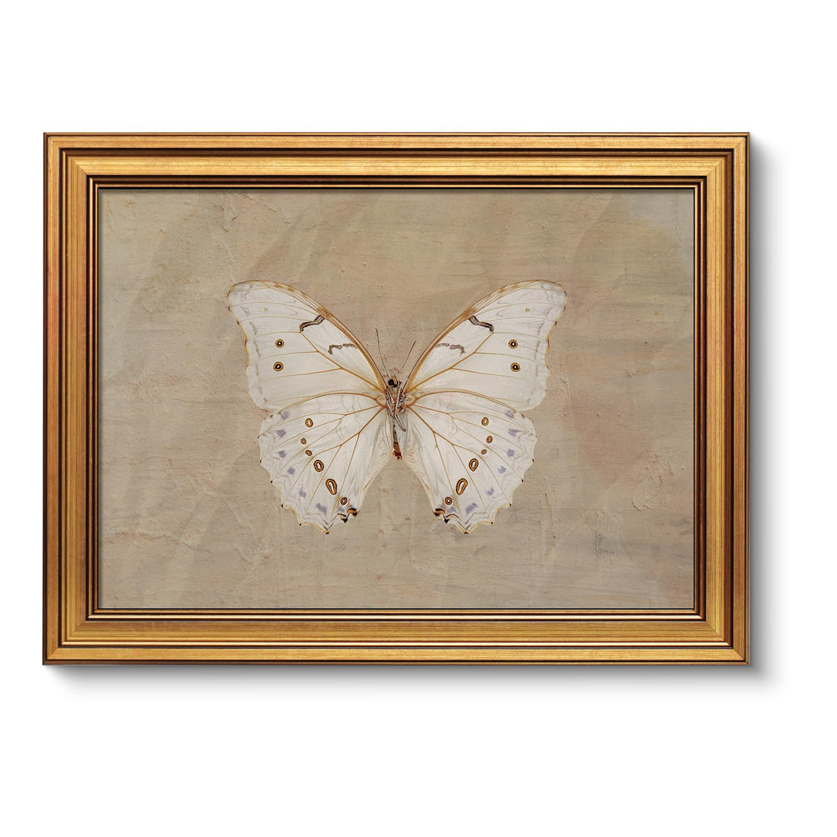 VIYYIEA Vintage Gold Framed Wall Art – Hummingbird Sketch Prints, 8x10 IN
