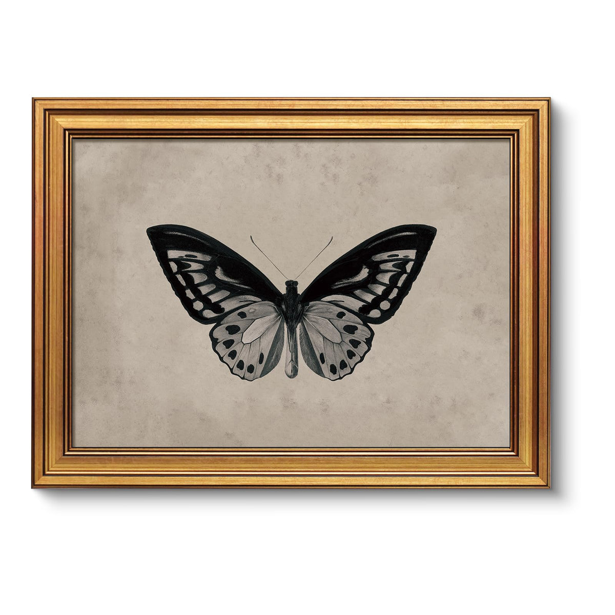 VIYYIEA Vintage Gold Framed Wall Art – Hummingbird Sketch Prints, 8x10 IN