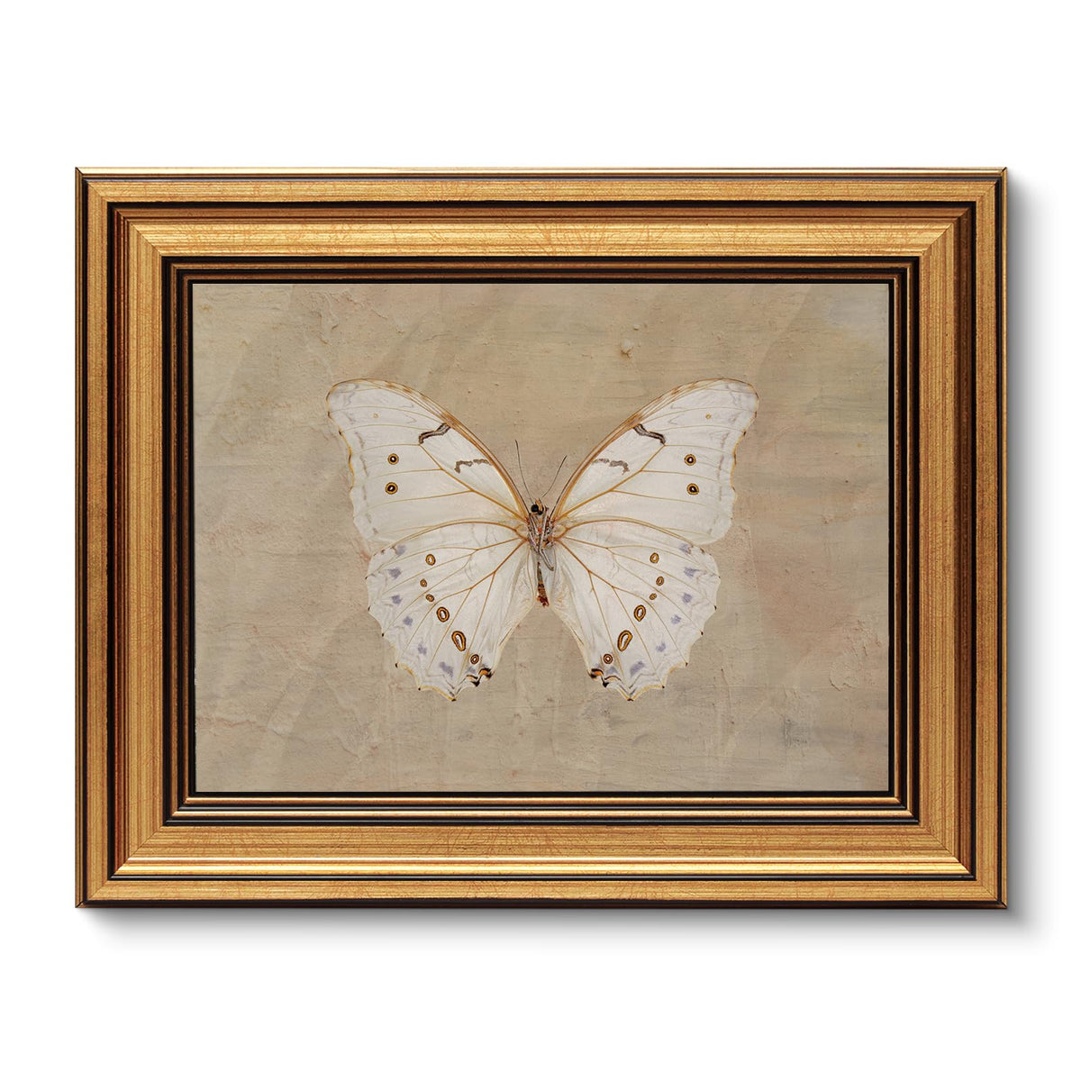 VIYYIEA Vintage Gold Framed Wall Art – Hummingbird Sketch Prints, 8x10 IN
