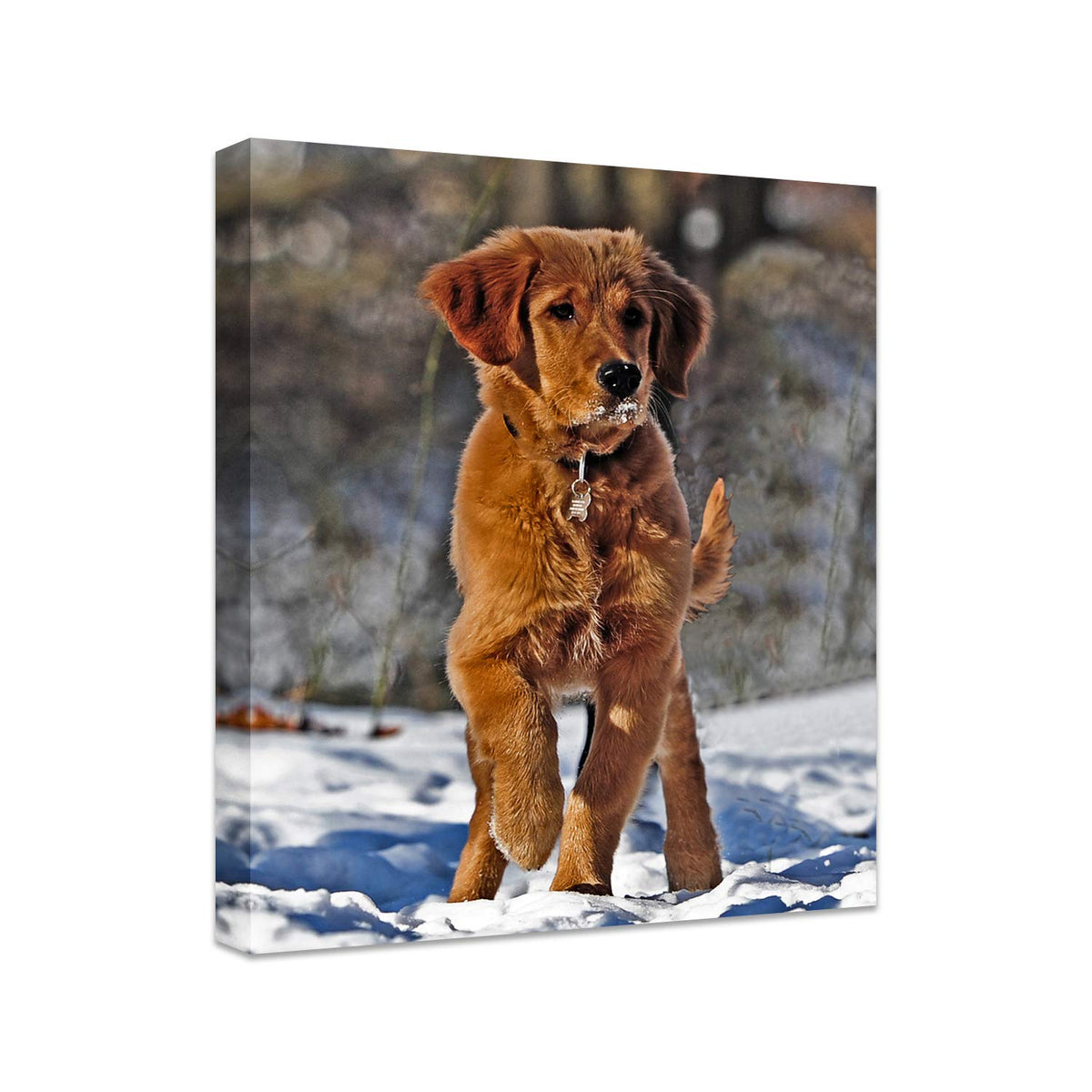 Personalized Photo to Canvas Print - Canvas Prints With Your Photos on Custom Wall Art for Bedroom, Living Room, Wedding Baby Pet Family Picture Framed Wall Art (6" W x 8" H)