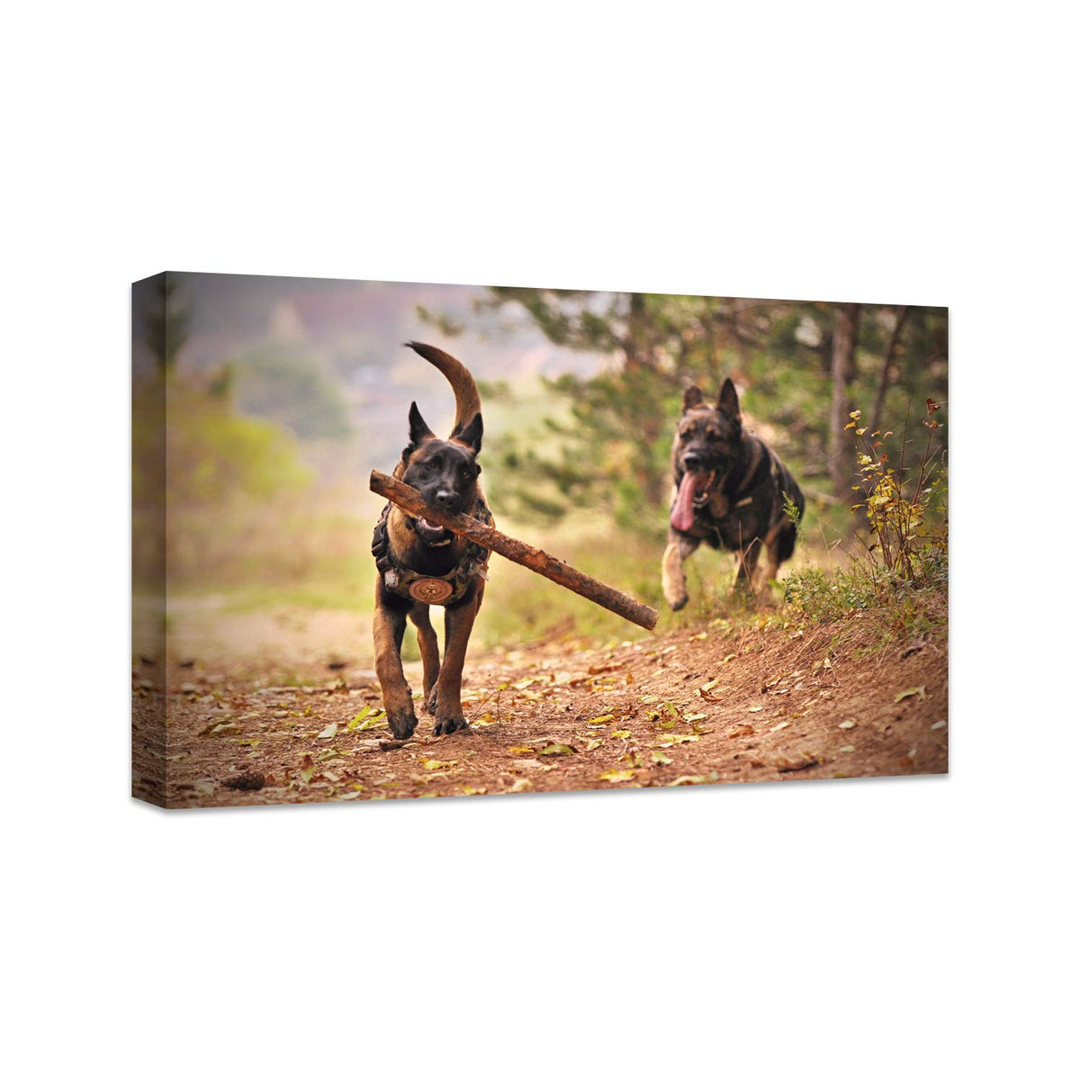 Personalized Photo to Canvas Print - Canvas Prints With Your Photos on Custom Wall Art for Bedroom, Living Room, Wedding Baby Pet Family Picture Framed Wall Art (6" W x 8" H)