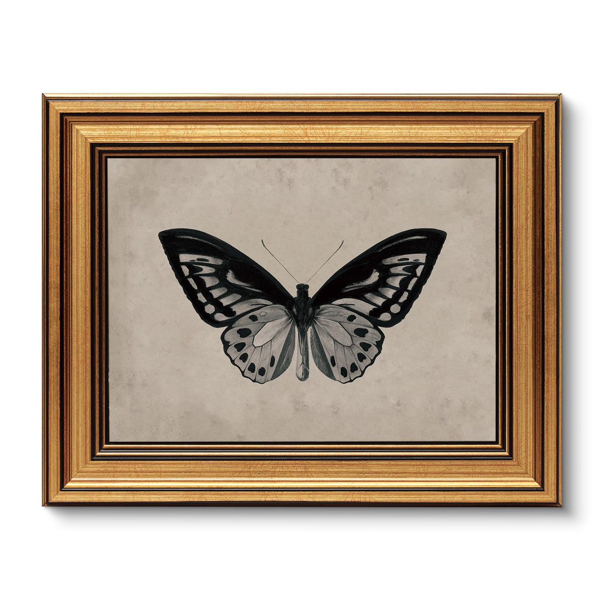 VIYYIEA Vintage Gold Framed Wall Art – Hummingbird Sketch Prints, 8x10 IN