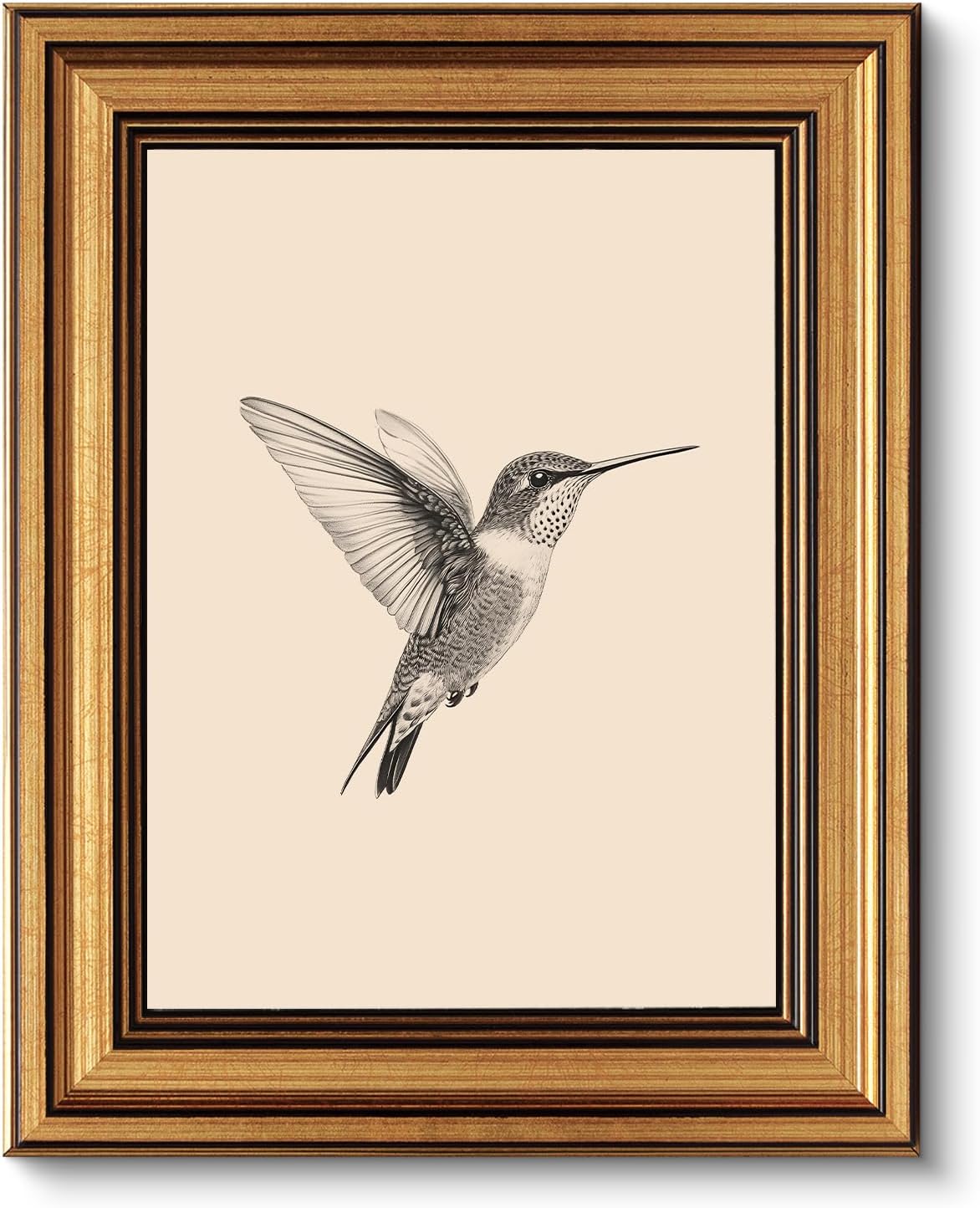 VIYYIEA Vintage Gold Framed Wall Art – Hummingbird Sketch Prints, 8x10 IN