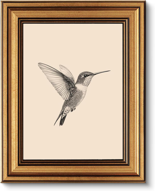 VIYYIEA Vintage Gold Framed Wall Art – Hummingbird Sketch Prints, 8x10 IN