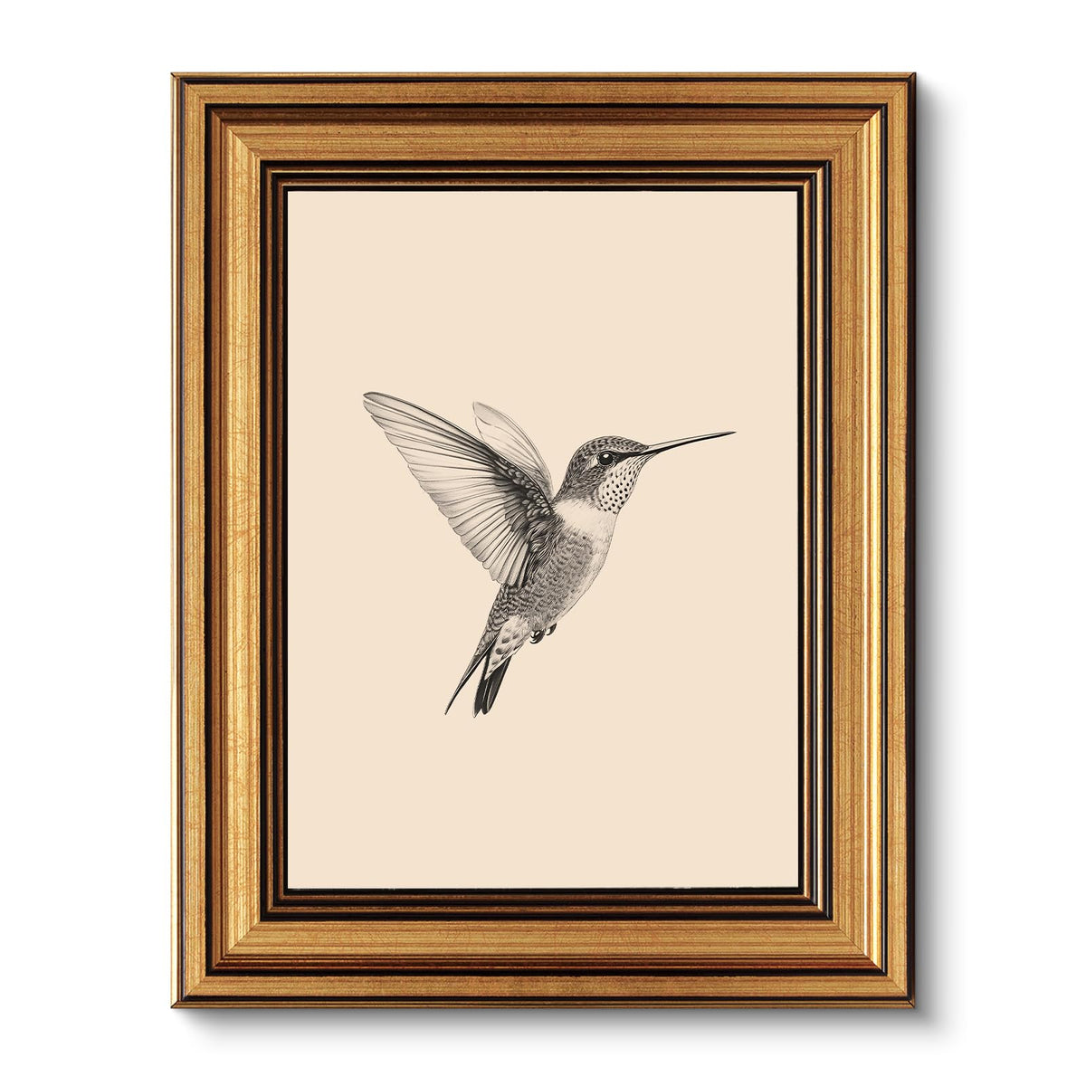 VIYYIEA Vintage Gold Framed Wall Art – Hummingbird Sketch Prints, 8x10 IN