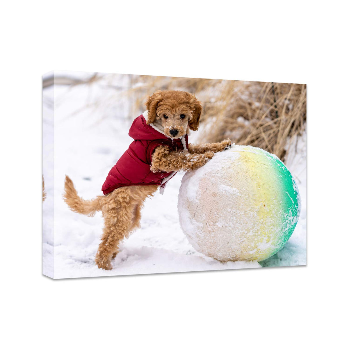 Personalized Photo to Canvas Print - Canvas Prints With Your Photos on Custom Wall Art for Bedroom, Living Room, Wedding Baby Pet Family Picture Framed Wall Art (6" W x 8" H)