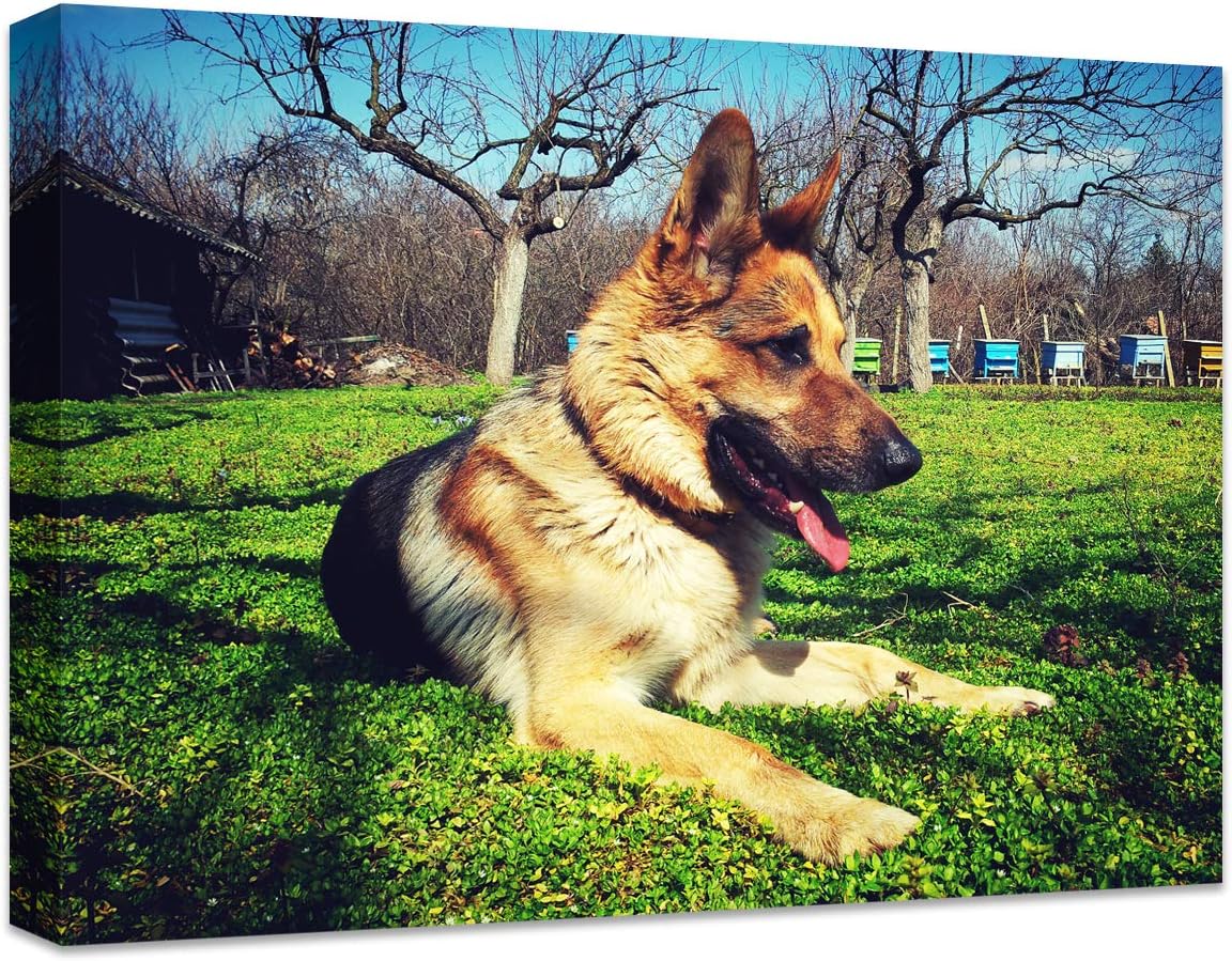 Personalized Photo to Canvas Print - Canvas Prints With Your Photos on Custom Wall Art for Bedroom, Living Room, Wedding Baby Pet Family Picture Framed Wall Art (6" W x 8" H)