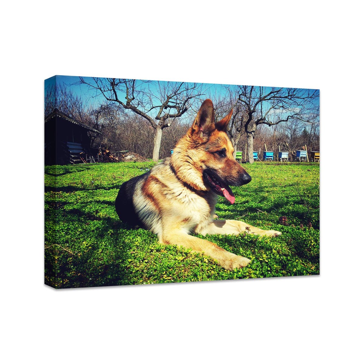 Personalized Photo to Canvas Print - Canvas Prints With Your Photos on Custom Wall Art for Bedroom, Living Room, Wedding Baby Pet Family Picture Framed Wall Art (6" W x 8" H)