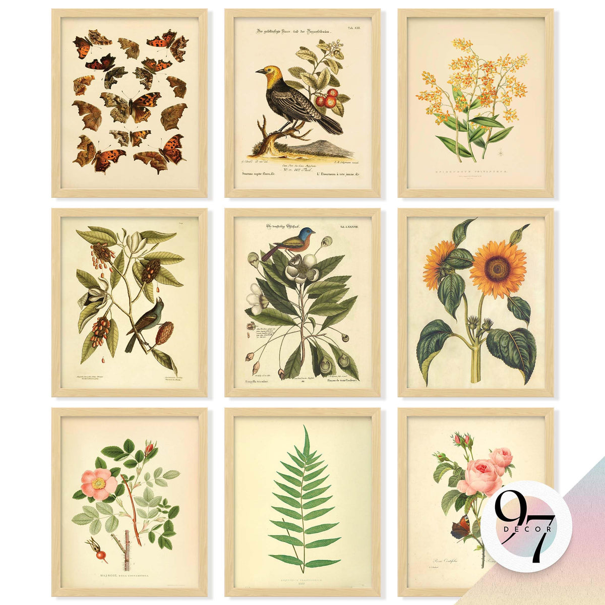 Dark Academia Wall Art Unframed, 12pcs Gothic Prints for Wall Decor