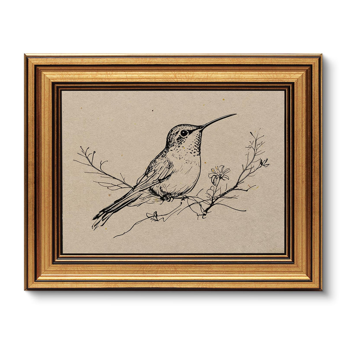 VIYYIEA Vintage Gold Framed Wall Art – Hummingbird Sketch Prints, 8x10 IN