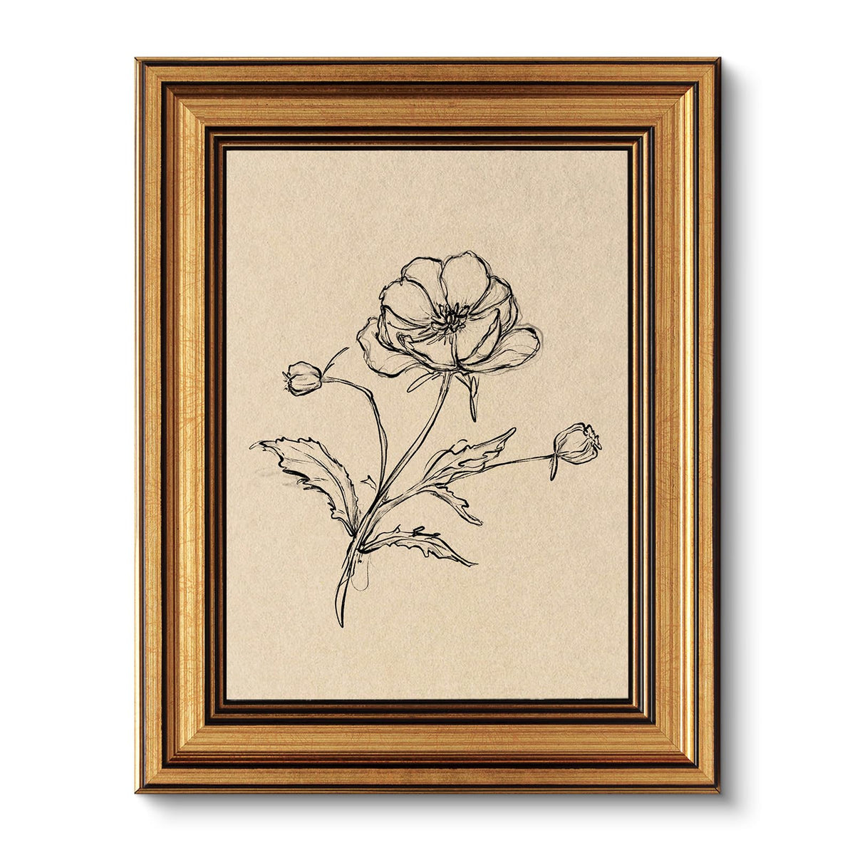 VIYYIEA Vintage Gold Framed Wall Art – Hummingbird Sketch Prints, 8x10 IN