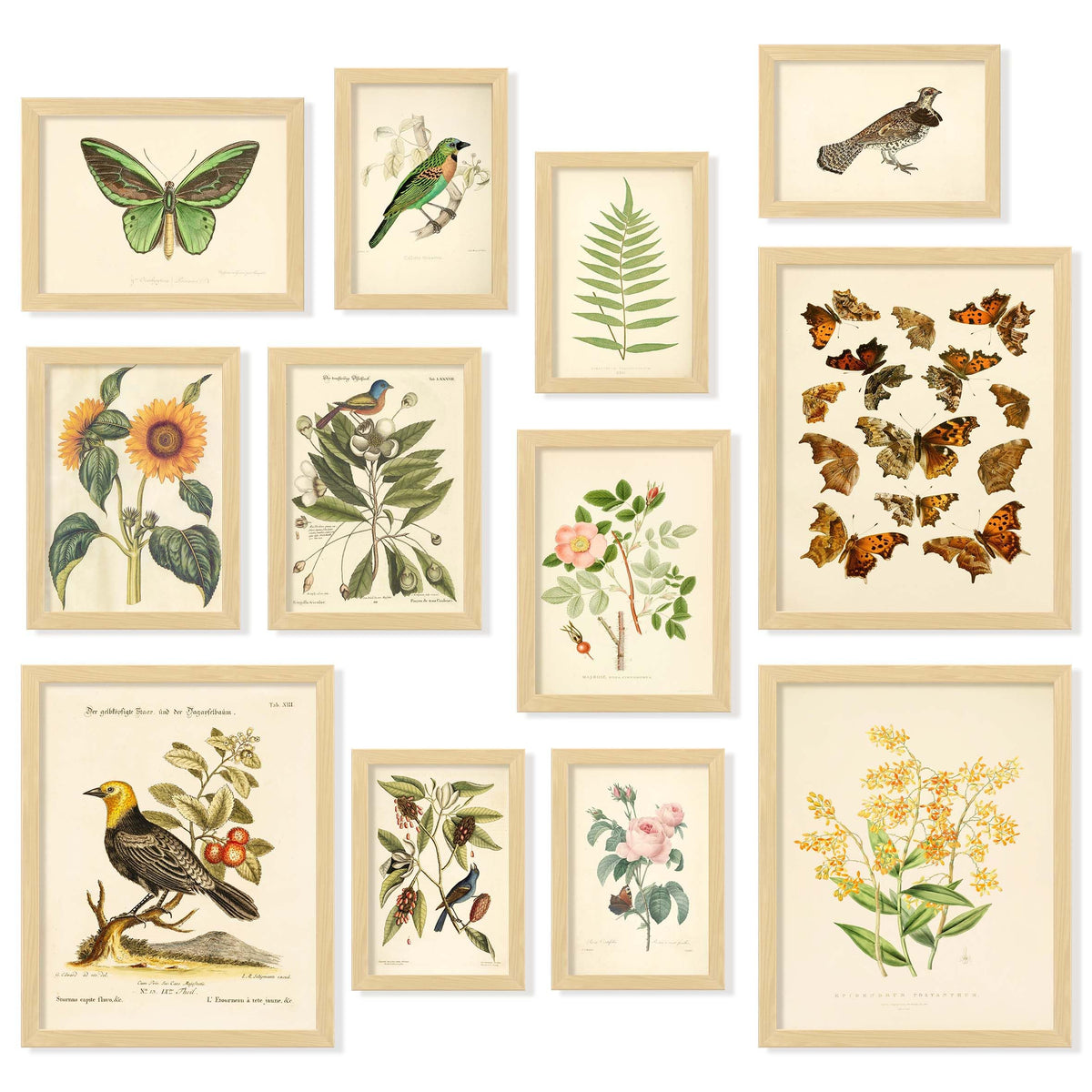 Dark Academia Wall Art Unframed, 12pcs Gothic Prints for Wall Decor