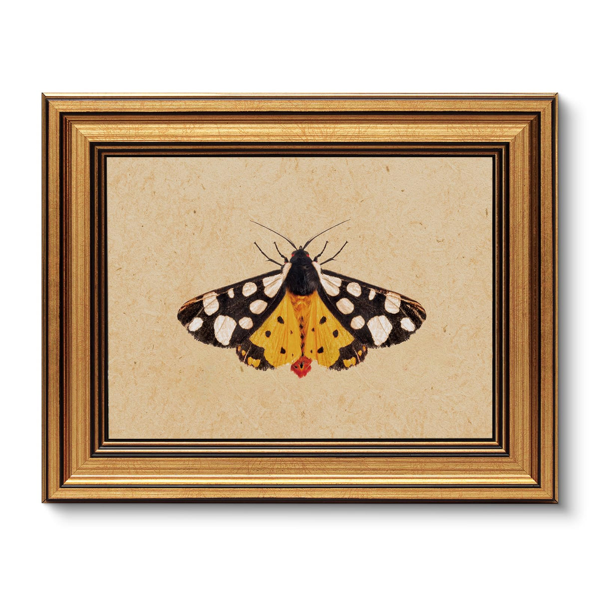 VIYYIEA Vintage Gold Framed Wall Art – Hummingbird Sketch Prints, 8x10 IN