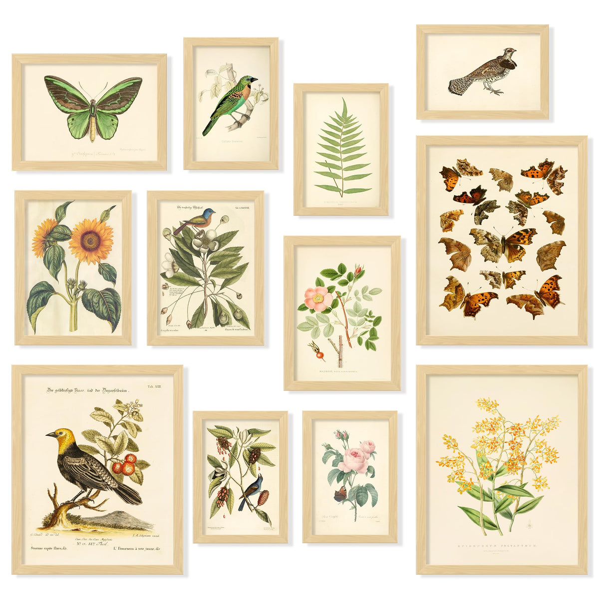 Dark Academia Wall Art Unframed, 12pcs Gothic Prints for Wall Decor